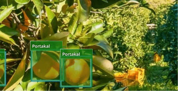 Tarım endüstrisinde yapay zeka